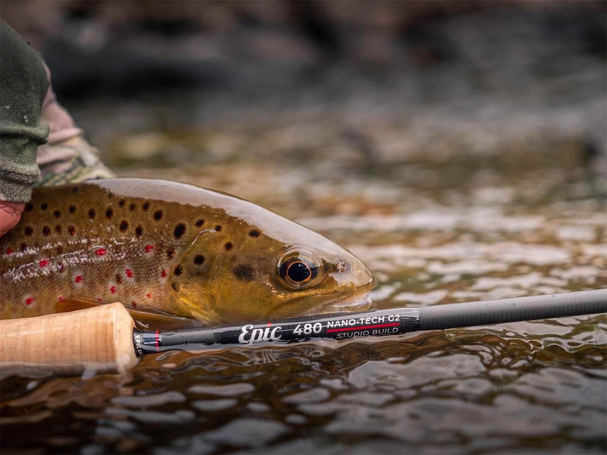 Old vs New Fly Rod: Fly Fishing for Backcountry Trout! 